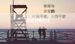 搜索引擎优化