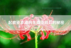 起底资本涌向东南亚背后的秘密