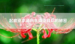 起底资本涌向东南亚背后的秘密