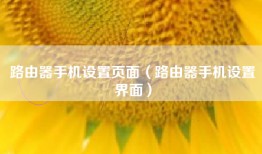 路由器手机设置页面（路由器手机设置界面）