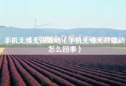 手机无缘无故震动（手机无缘无故震动怎么回事）