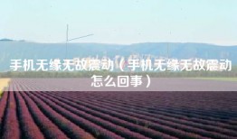 手机无缘无故震动（手机无缘无故震动怎么回事）