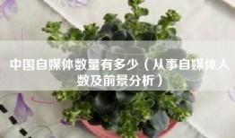 中国自媒体数量有多少（从事自媒体人数及前景分析）