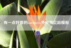 有一点好看的wordpress外贸独立站模板