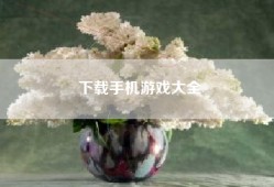 下载手机游戏大全