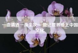 一壶清酒一身尘灰— 她让世界爱上中国文化