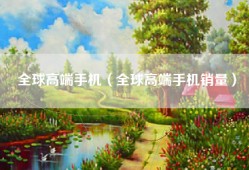全球高端手机（全球高端手机销量）