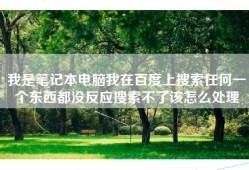 我是笔记本电脑我在百度上搜索任何一个东西都没反应搜索不了该怎么处理