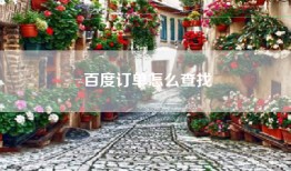 百度订单怎么查找