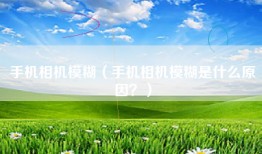 手机相机模糊（手机相机模糊是什么原因？）