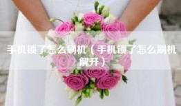 手机锁了怎么刷机（手机锁了怎么刷机解开）