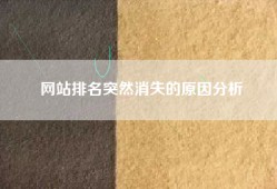 网站排名突然消失的原因分析
