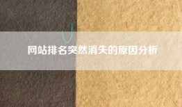 网站排名突然消失的原因分析