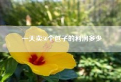 一天卖50个包子的利润多少