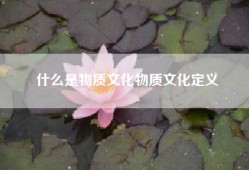 什么是物质文化物质文化定义