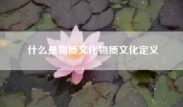 什么是物质文化物质文化定义