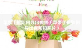 苹果手机如何导出视频（苹果手机如何导出视频和照片）