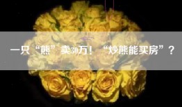 一只“熊”卖30万！“炒熊能买房”？