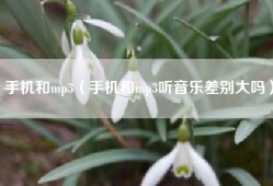 手机和mp3（手机和mp3听音乐差别大吗）