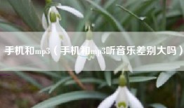 手机和mp3（手机和mp3听音乐差别大吗）