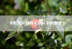 手机乐队软件（乐队手机游戏）