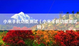 小米手机功能测试（小米手机功能测试码）