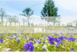 手机授权失败（手机授权失败无法一键登录）