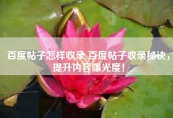 百度帖子怎样收录 百度帖子收录秘诀，提升内容曝光度！