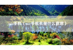 mic手机（mic手机孔是什么意思）