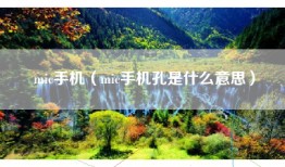 mic手机(mic手机孔是什么意思)