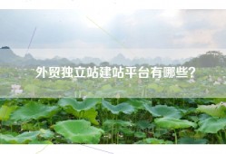 外贸独立站建站平台有哪些？