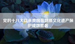 党的十八大以来我国非物质文化遗产保护成效显著