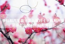 手机和汽车蓝牙怎么配对（手机和汽车蓝牙怎么配对后没有声音）