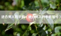 适合男人的手机（适合男人的手机尾号）