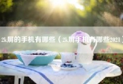 2k屏的手机有哪些（2k屏手机有哪些2021）