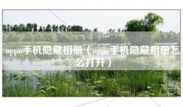 oppo手机隐藏相册（oppo手机隐藏相册怎么打开）