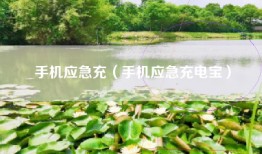 手机应急充（手机应急充电宝）