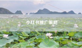 小红书推广策略
