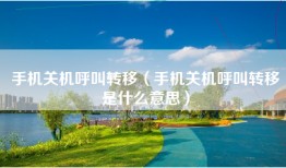 手机关机呼叫转移（手机关机呼叫转移是什么意思）