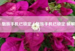 魅族手机已锁定（魅族手机已锁定 破解）