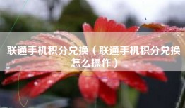 联通手机积分兑换（联通手机积分兑换怎么操作）