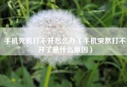 手机死机打不开怎么办（手机突然打不开了是什么原因）