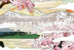 手机拍夕阳参数（手机夕阳拍摄技巧）