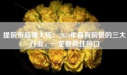 提前布局赚大钱：2024年最有前景的三大行业，一定要抓住风口