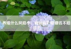 养殖什么风险小、利润高？稳赚钱不赔钱？