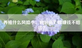 养殖什么风险小、利润高？稳赚钱不赔钱？