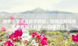 搜索引擎优化自学教程，如何让网站排名更靠前（分享SEO自学方法）