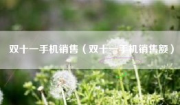 双十一手机销售（双十一手机销售额）