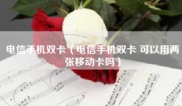 电信手机双卡（电信手机双卡 可以用两张移动卡吗）