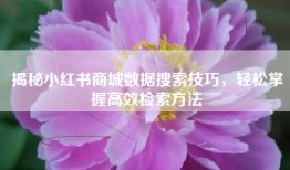 揭秘小红书商城数据搜索技巧，轻松掌握高效检索方法